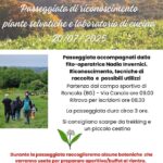 Passeggiata di riconoscimento piante selvatiche